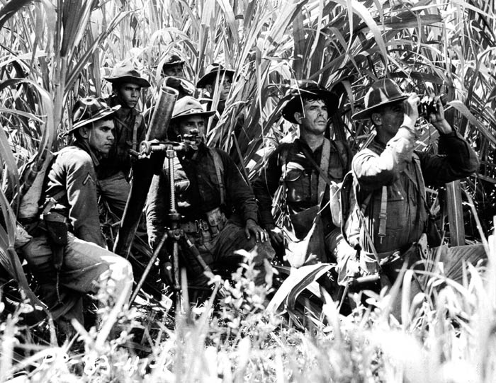 65th Infantry takes cover in a cane field near Salinas, Puerto Rico. November 1941.  SC126181